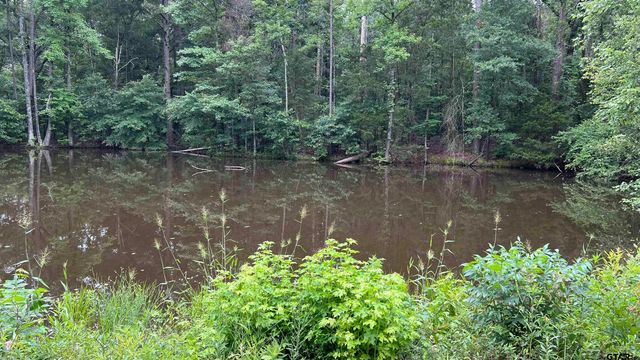TBD County Road 1418, Quitman, TX 75783