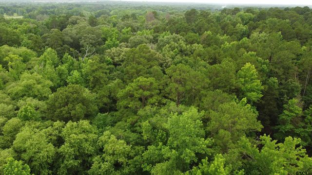 TBD County Road 1418, Quitman, TX 75783