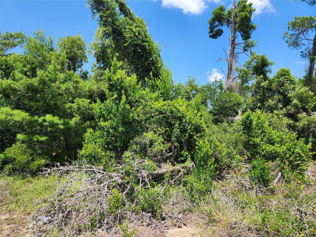 6241 MARINER BOULEVARD Lot 31, Spring Hill, FL 34609