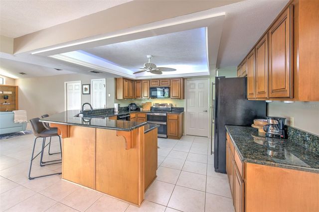 3816 BUCKINGHAM LOOP DRIVE, Valrico, FL 33594