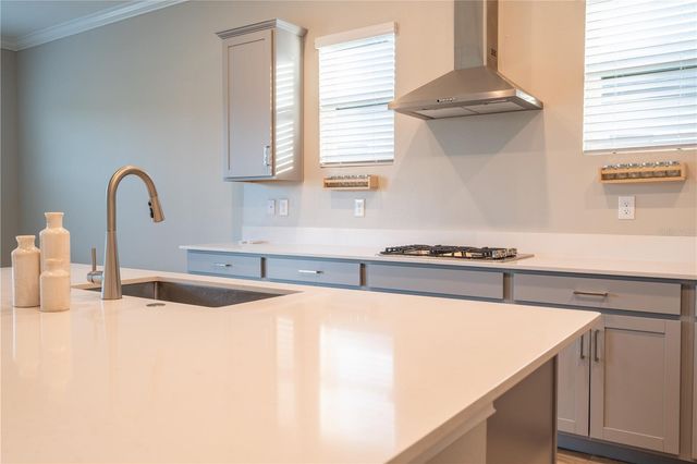 21396 SNOWY ORCHID TERRACE, Land O Lakes, FL 34637