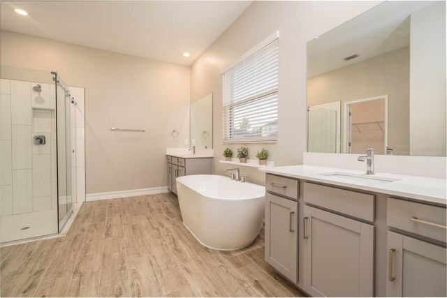 21396 SNOWY ORCHID TERRACE, Land O Lakes, FL 34637