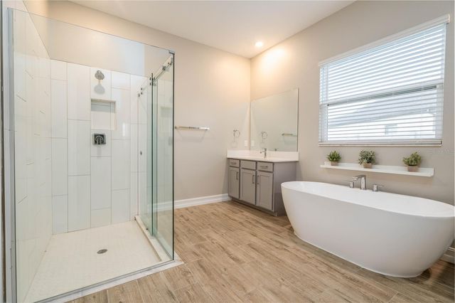 21396 SNOWY ORCHID TERRACE, Land O Lakes, FL 34637