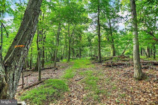 0 SHULL HILL RD, Newport, PA 17074