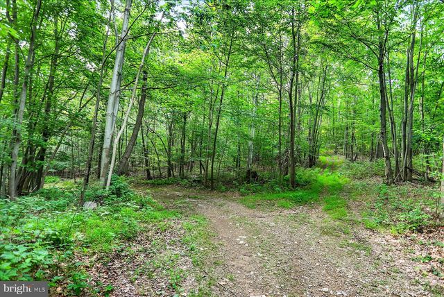 0 SHULL HILL RD, Newport, PA 17074