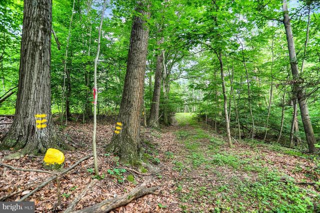 0 SHULL HILL RD, Newport, PA 17074