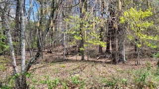 00 East E Hillcrest Street, Mountain City, TN 37683