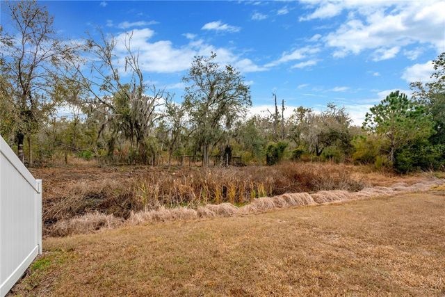 12407 BRICK COBBLESTONE DRIVE, Riverview, FL 33579