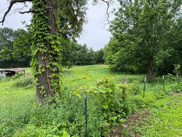 687 CR 472, Piggott, AR 72454
