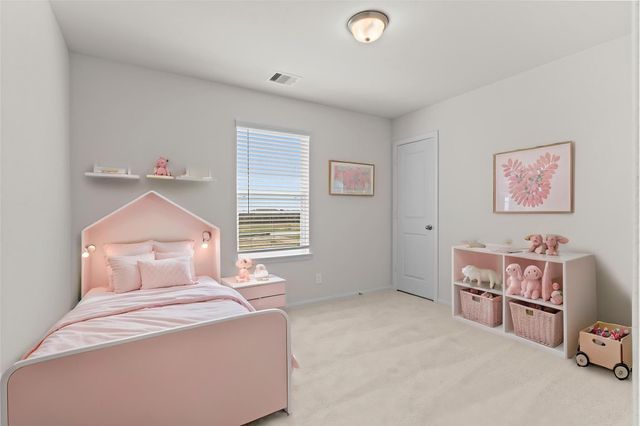 30919 Peck Pass Drive, Waller, TX 77484
