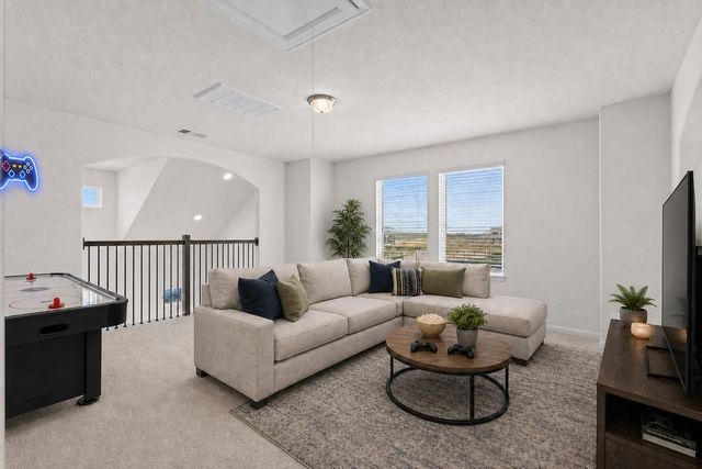 30919 Peck Pass Drive, Waller, TX 77484
