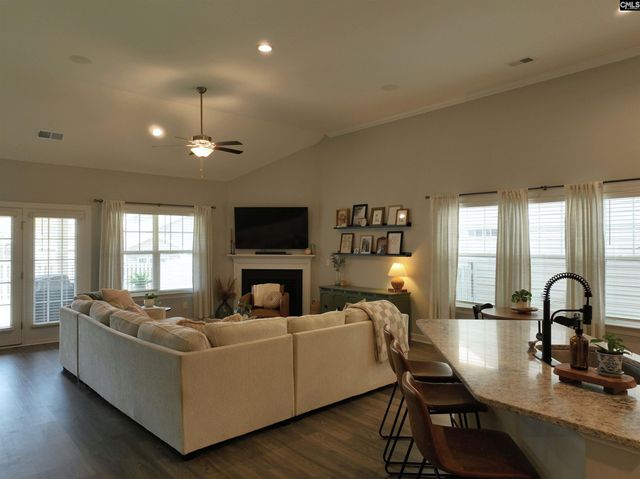 53 Starry Night Court, Chapin, SC 29036