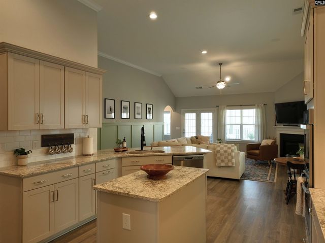 53 Starry Night Court, Chapin, SC 29036