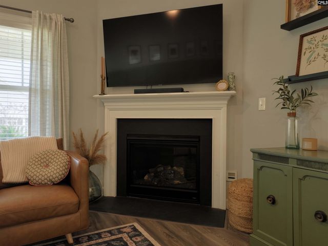 53 Starry Night Court, Chapin, SC 29036