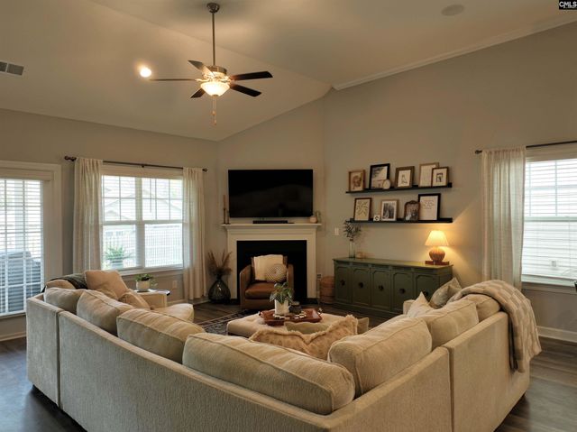 53 Starry Night Court, Chapin, SC 29036