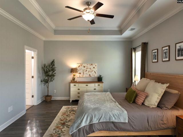 53 Starry Night Court, Chapin, SC 29036