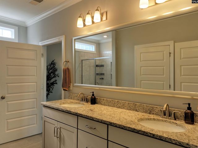 53 Starry Night Court, Chapin, SC 29036