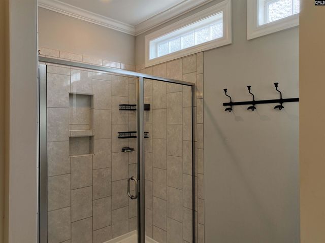 53 Starry Night Court, Chapin, SC 29036