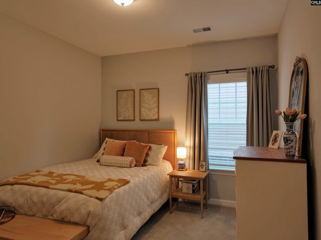 53 Starry Night Court, Chapin, SC 29036