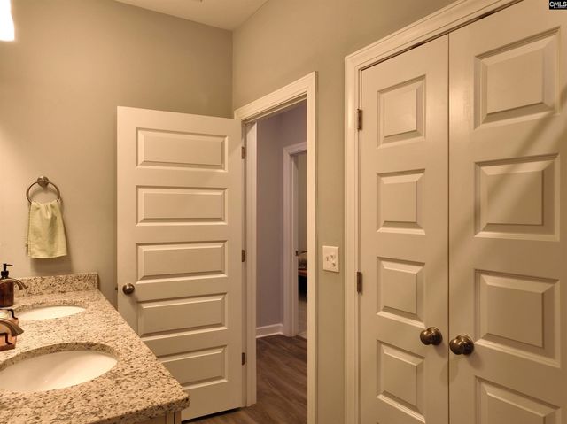 53 Starry Night Court, Chapin, SC 29036