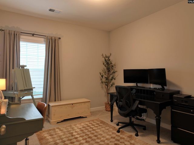 53 Starry Night Court, Chapin, SC 29036