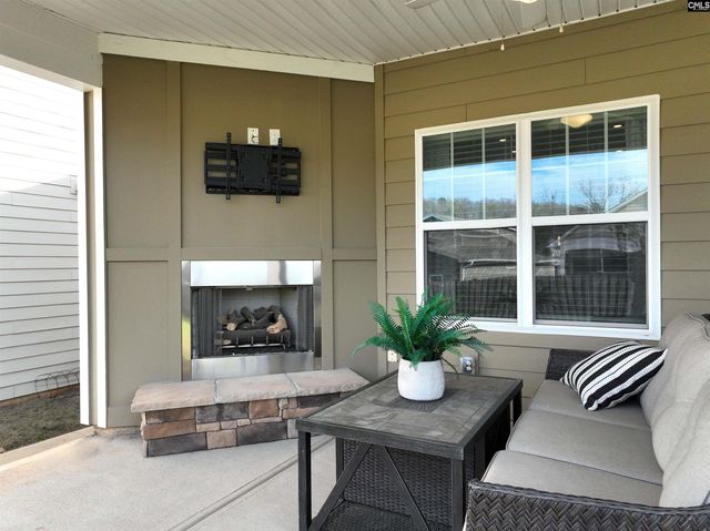 53 Starry Night Court, Chapin, SC 29036