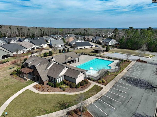 53 Starry Night Court, Chapin, SC 29036