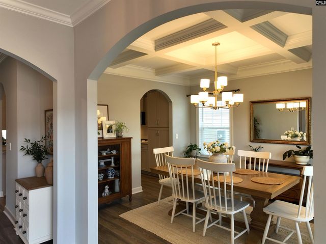 53 Starry Night Court, Chapin, SC 29036