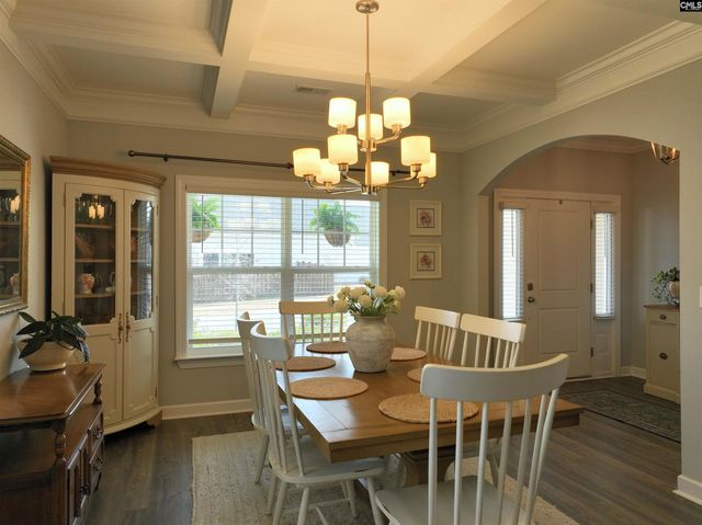 53 Starry Night Court, Chapin, SC 29036