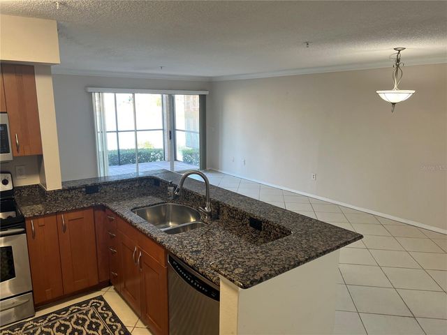 2400 FEATHER SOUND DRIVE 1217, Clearwater, FL 33762