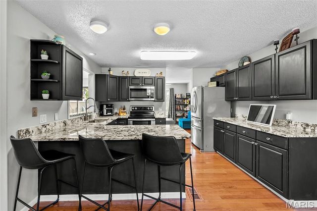 204 Wild Cherry Lane, Swansea, IL 62226