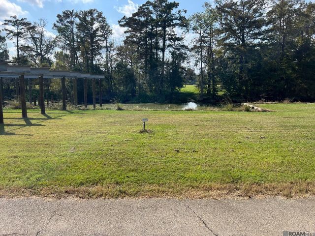 23101 Carter Plantation Dr, Springfield, LA 70462