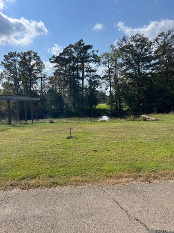 23101 Carter Plantation Dr, Springfield, LA 70462