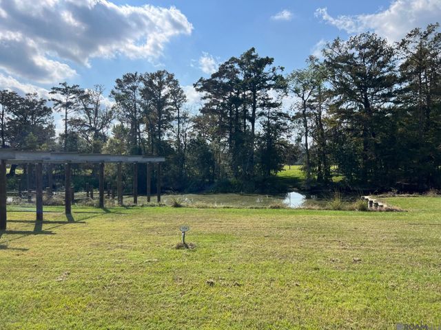 23101 Carter Plantation Dr, Springfield, LA 70462