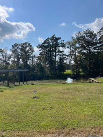 23101 Carter Plantation Dr, Springfield, LA 70462
