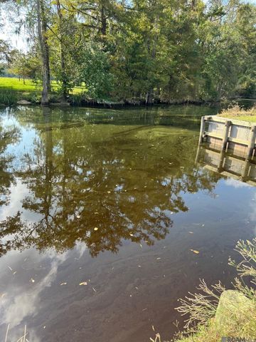 23101 Carter Plantation Dr, Springfield, LA 70462