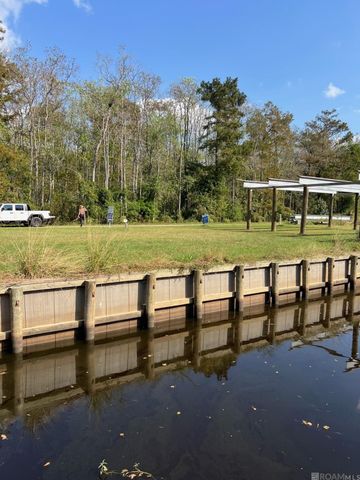 23101 Carter Plantation Dr, Springfield, LA 70462