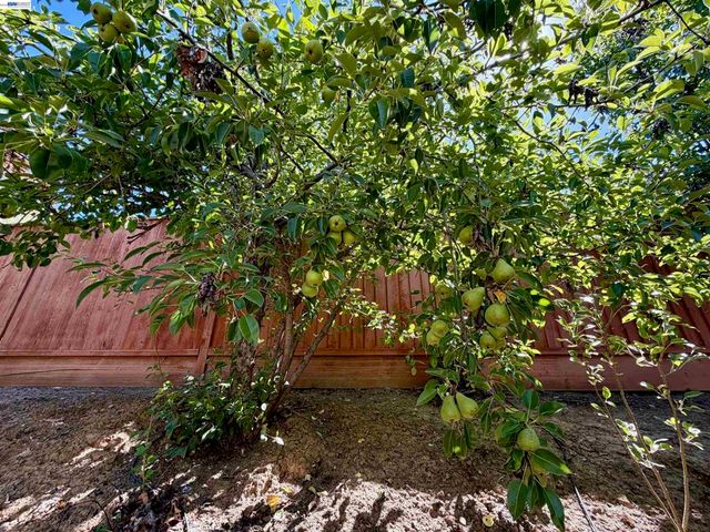3119 Castle Canyon Way, San Jose, CA 95135