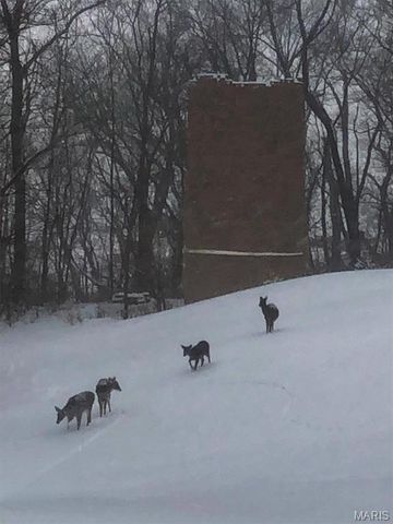 106 Harmon Drive, Lebanon, IL 62254