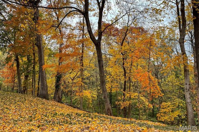 106 Harmon Drive, Lebanon, IL 62254