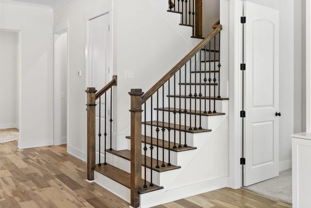 3976 Berberis Lane, Ravenel, SC 29470