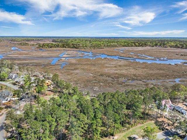 3976 Berberis Lane, Ravenel, SC 29470