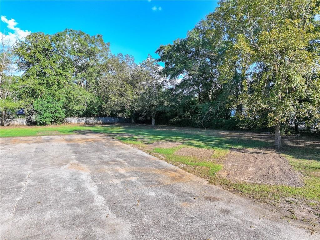 19650 3rd Street, Mount Vernon, AL 36560 — photo 2