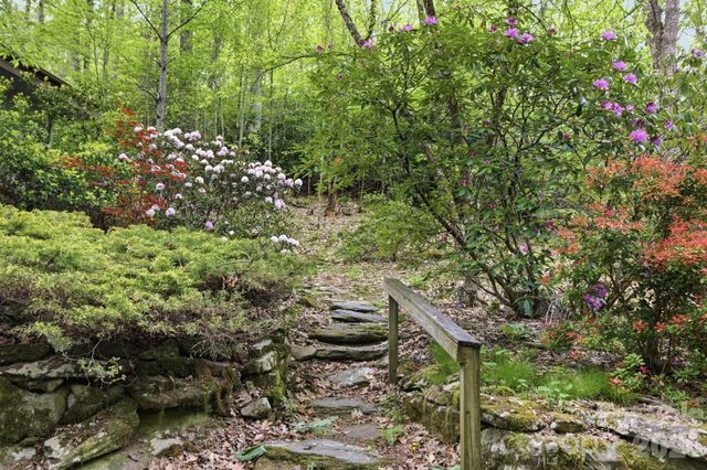 401 Saratoga None, Boone, NC 28607