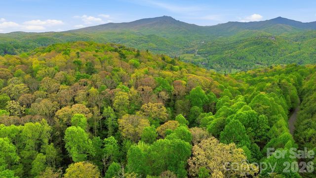 401 Saratoga None, Boone, NC 28607