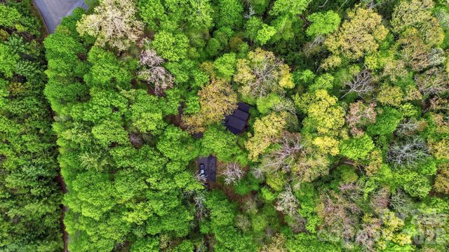 401 Saratoga None, Boone, NC 28607