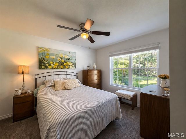 10162 Lake Ridge Drive, Hillsboro, MO 63050
