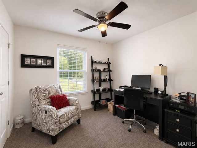 10162 Lake Ridge Drive, Hillsboro, MO 63050