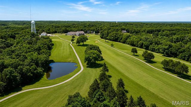 10162 Lake Ridge Drive, Hillsboro, MO 63050