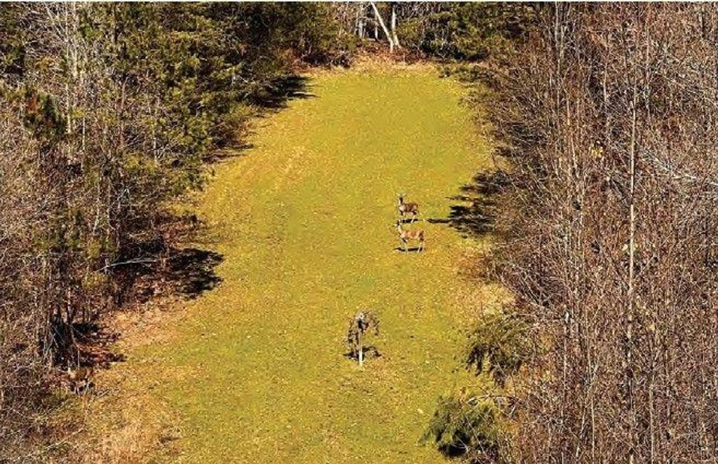 Image 8 of property listing at 6390 Lula Road, Lula, GA 30554